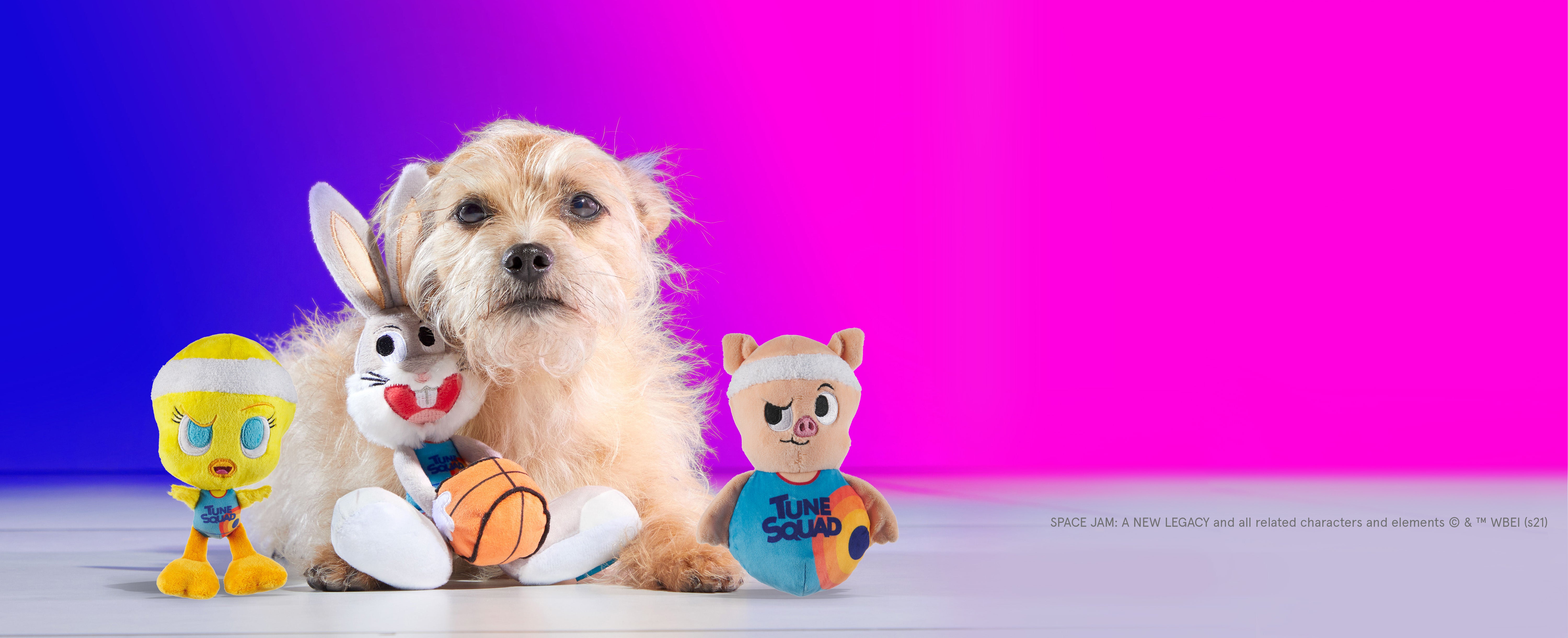 BarkBox's Newest Brand Licensing Initiative to Feature Space Jam Sequel,  Attract Basketball Fans
