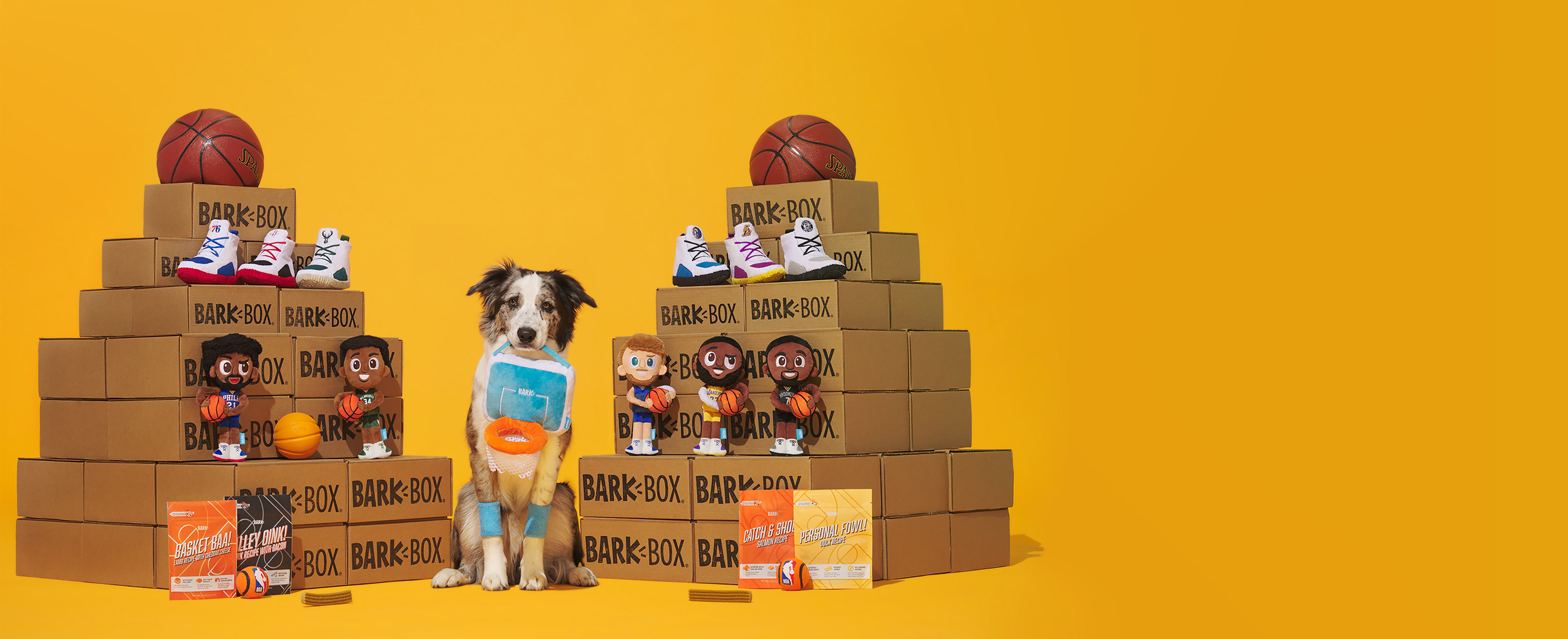 Bark Box NBA Jersey NBA 76ers Jersey Size Small Dog Jersey New!