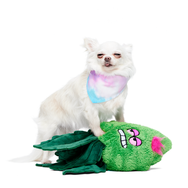 Dropship Bud Jr. The Weed Nug 420 Dog Toy to Sell Online at a