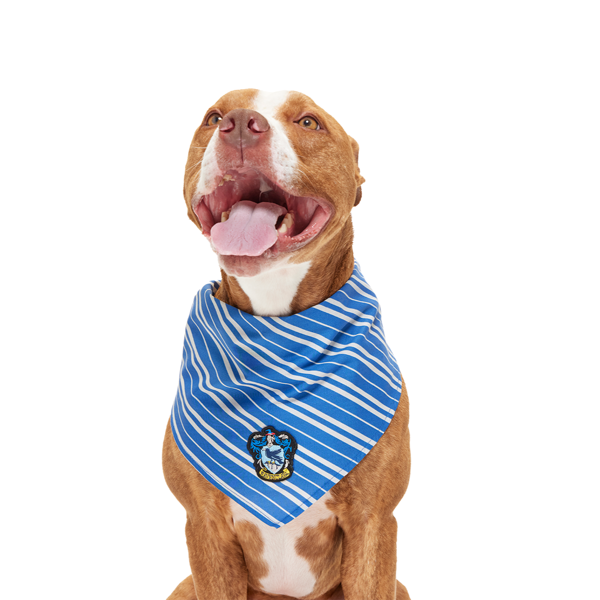 Ravenclaw™ Bandana – BarkShop