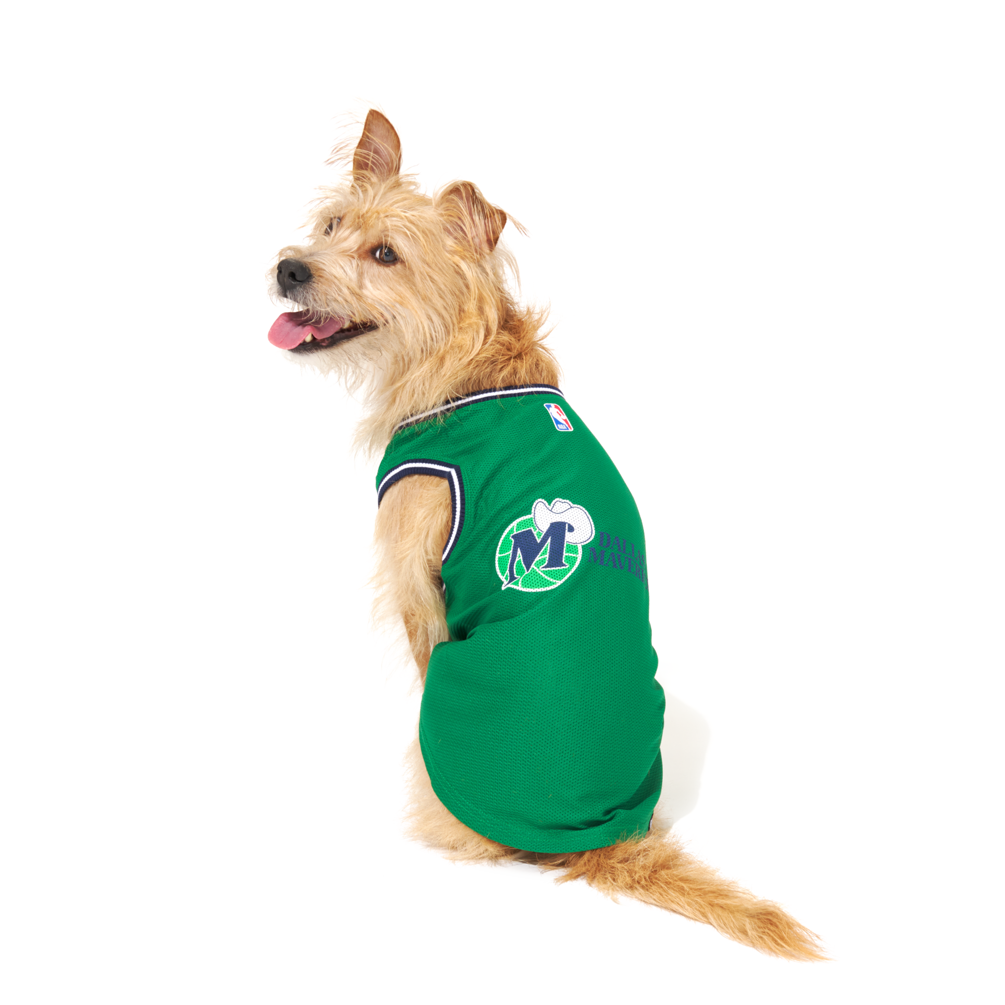 Boston Celtics Mesh Basketball Dog Jersey
